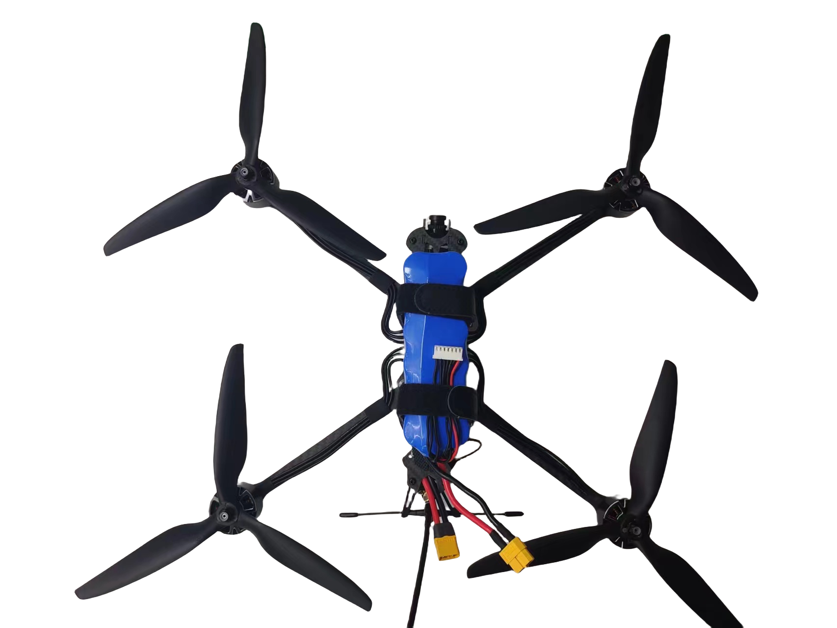 FPV 